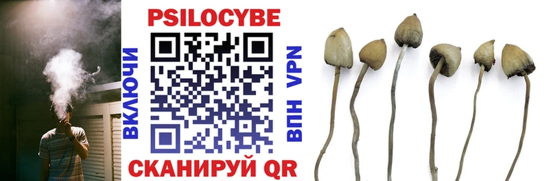 наркошоп  MEGA ССЫЛКА  Псилоцибиновые грибы Magic Shrooms  Тутаев 